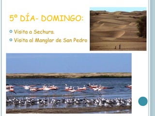 5º DÍA- DOMINGO: Visita a Sechura. Visita al Manglar de San Pedro 