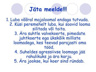 Jäta meelde!!!
1. Luba võõral majaloomal endaga tutvuda.
  2. Küsi peremehelt luba, kui soovid looma
              silitada või toita.
     3. Ära suhtle valvekoerte, pimedate
        juhtkoerte ega ükskõik milliste
    loomadega, kes teevad parajasti oma
                     tööd.
     4. Suheldes agressiivse loomaga jää
           rahulikuks ja ära karju.
     5. Ära jookse, kui koer sind ründab.
 