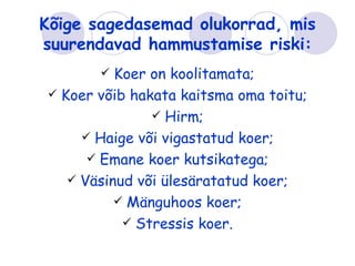 Kõige sagedasemad olukorrad, mis
suurendavad hammustamise riski:
         Koer on koolitamata;
 Koer võib hakata kaitsma oma toitu;
                Hirm;
      Haige või vigastatud koer;
       Emane koer kutsikatega;
    Väsinud või ülesäratatud koer;
           Mänguhoos koer;
            Stressis koer.
 