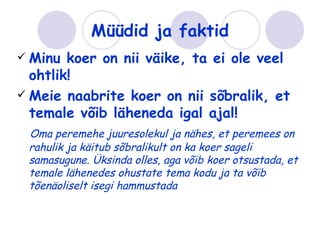 Müüdid ja faktid
 Minu  koer on nii väike, ta ei ole veel
  ohtlik!
 Meie naabrite koer on nii sõbralik, et
  temale võib läheneda igal ajal!
 Oma peremehe juuresolekul ja nähes, et peremees on
 rahulik ja käitub sõbralikult on ka koer sageli
 samasugune. Üksinda olles, aga võib koer otsustada, et
 temale lähenedes ohustate tema kodu ja ta võib
 tõenäoliselt isegi hammustada
 