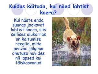 Kuidas käituda, kui näed lahtist
            koera?
  Kui näete enda
 suunas jooksvat
lahtist koera, siis
sellises olukorras
   on käitumise
   reeglid, mida
  peavad jälgima
 ohutuse huvides
   nii lapsed kui
   täiskasvanud
 