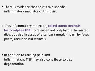  There is evidence that points to a specific
inflammatory mediator of this pain.
 This inflammatory molecule, called tumor necrosis
factor-alpha (TNF), is released not only by the herniated
disc, but also in cases of disc tear (annular tear), by facet
joints, and in spinal stenosis.
 In addition to causing pain and
inflammation, TNF may also contribute to disc
degeneration
 