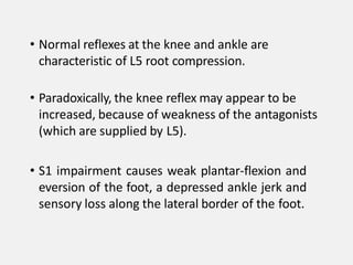 • Normal reflexes at the knee and ankle are
characteristic of L5 root compression.
• Paradoxically, the knee reflex may appear to be
increased, because of weakness of the antagonists
(which are supplied by L5).
• S1 impairment causes weak plantar-flexion and
eversion of the foot, a depressed ankle jerk and
sensory loss along the lateral border of the foot.
 