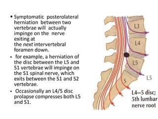 .
 Symptomatic posterolateral
herniation between two
vertebrae will actually
impinge on the nerve
exiting at
the next intervertebral
foramen down.
 for example, a herniation of
the disc between the L5 and
S1 vertebrae will impinge on
the S1 spinal nerve, which
exits between the S1 and S2
vertebrae.
 Occasionally an L4/5 disc
prolapse compresses both L5
and S1.
 
