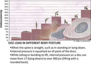 DISC LOAD IN DIFFERENT BODY POSTURE
When the spine is straight, such as in standing or lying down,
internal pressure is equalized on all parts of the discs.
While sitting or bending to lift, internal pressure on a disc can
move from 17 (lying down) to over 300 psi (lifting with a
rounded back).
 