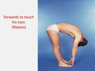 forwards to touch
his toes
(flexion)
 