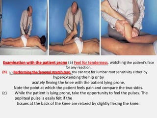 Examination with the patient prone (a) Feel for tenderness, watching the patient’s face
for any reaction.
(b) Performing the femoral stretch test. You can test for lumbar root sensitivity either by
hyperextending the hip or by
acutely flexing the knee with the patient lying prone.
Note the point at which the patient feels pain and compare the two sides.
(c) While the patient is lying prone, take the opportunity to feel the pulses. The
popliteal pulse is easily felt if the
tissues at the back of the knee are relaxed by slightly flexing the knee.
 