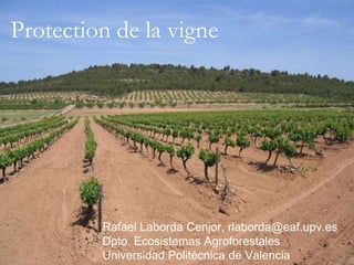 Protection de la vigne




         Rafael Laborda Cenjor, rlaborda@eaf.upv.es
         Dpto. Ecosistemas Agroforestales
         Universidad Politécnica de Valencia
 