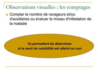 Observations visuelles : les comptages
   Compter le nombre de ravageurs et/ou
    d'auxiliaires ou évaluer le niveau d'infestation de
    la maladie




              Ils  permettent de déterminer
        si le seuil de nuisibilité est atteint ou non
 