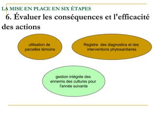 LA MISE EN PLACE EN SIX ÉTAPES
 6. Évaluer les conséquences et l'efficacité
des actions

         utilisation de                Registre des diagnostics et des
       parcelles témoins                interventions phytosanitaires




                       gestion intégrée des
                     ennemis des cultures pour
                         l'année suivante
 