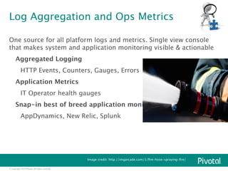 Log Aggregation and Ops Metrics 
One source for all platform logs and metrics. Single view console 
that makes system and ...