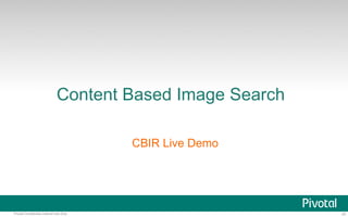 Content Based Image Search 
CBIR Live Demo 
Pivotal Confidential–Internal Use Only 47 
 