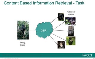 Content Based Information Retrieval - Task 
http://blog.pivotal.io/pivotal/features/content-based-image-retrieval-using-pivotal-hd-or-pivotal-greenplum-database 
Pivotal Confidential–Internal Use Only 48 
 