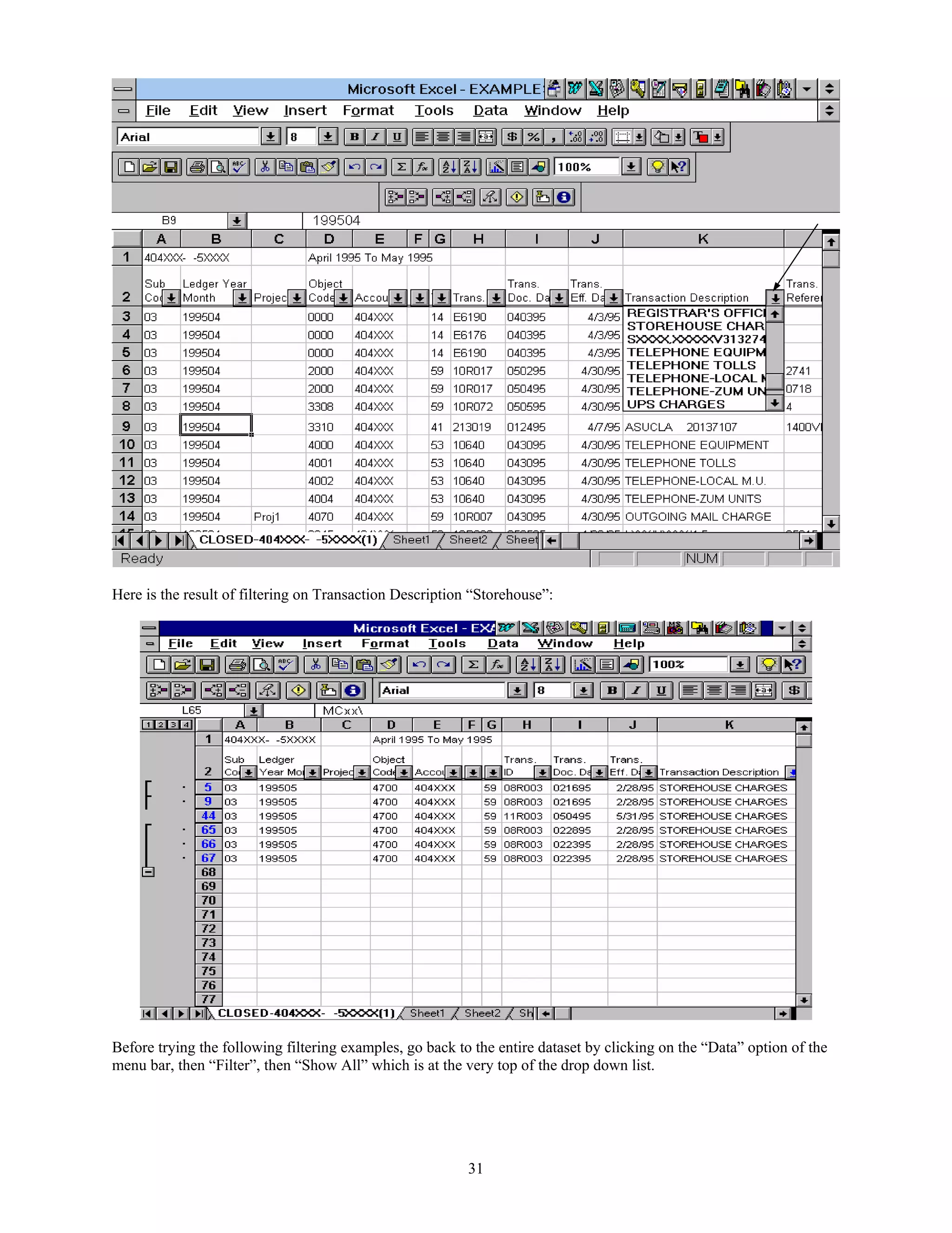 Here is the result of filtering on Transaction Description “Storehouse”:




Before trying the following filtering examples, go back to the entire dataset by clicking on the “Data” option of the
menu bar, then “Filter”, then “Show All” which is at the very top of the drop down list.




                                                          31
 