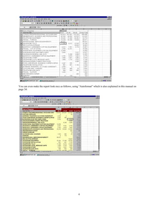 You can even make the report look nice as follows, using “Autoformat” which is also explained in this manual on
page 34:




                                                        4
 