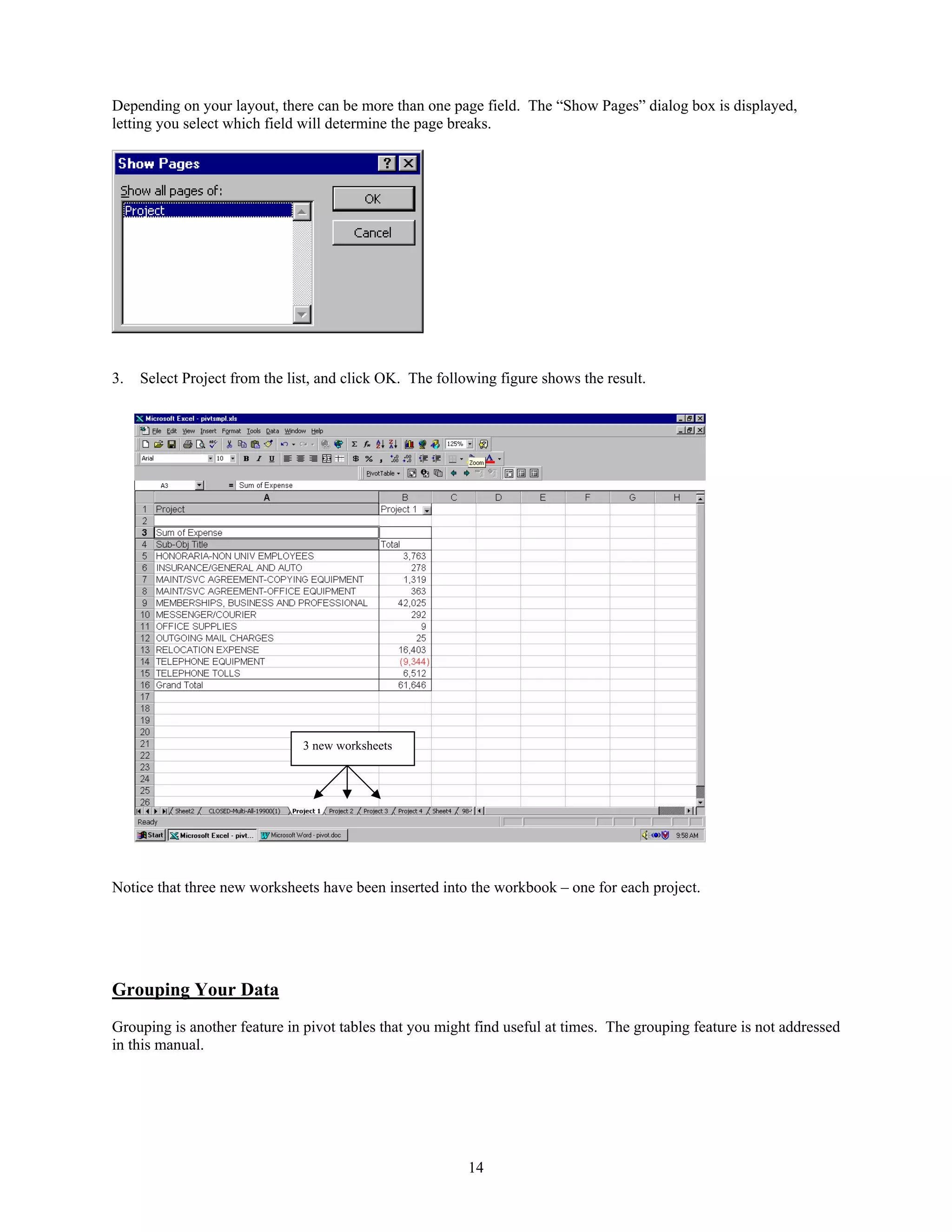 Depending on your layout, there can be more than one page field. The “Show Pages” dialog box is displayed,
letting you select which field will determine the page breaks.

3.

Select Project from the list, and click OK. The following figure shows the result.

3 new worksheets

Notice that three new worksheets have been inserted into the workbook – one for each project.

Grouping Your Data
Grouping is another feature in pivot tables that you might find useful at times. The grouping feature is not addressed
in this manual.

14

 