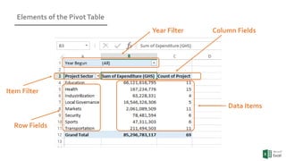 Working with Pivot Tables | PPTX