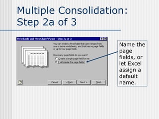 Multiple Consolidation: Step 2a of 3 Name the page fields, or let Excel assign a default name. 
