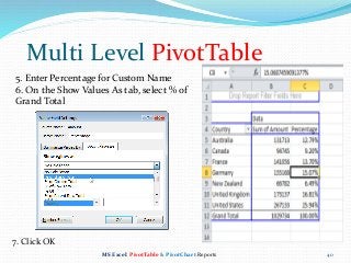 MS Excel Pivot Table Reports & Charts