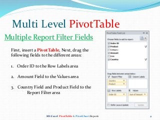 MS Excel Pivot Table Reports & Charts