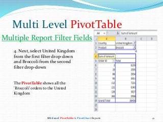 MS Excel Pivot Table Reports & Charts