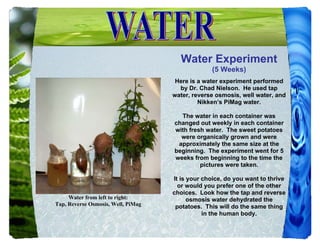 Water Experiment
                                                 (5 Weeks)
                                     Here is a water experiment performed
                                      by Dr. Chad Nielson. He used tap
                                    water, reverse osmosis, well water, and
                                             Nikken’s PiMag water.

                                      The water in each container was
                                    changed out weekly in each container
                                    with fresh water. The sweet potatoes
                                      were organically grown and were
                                     approximately the same size at the
                                    beginning. The experiment went for 5
                                    weeks from beginning to the time the
                                             pictures were taken.

                                    It is your choice, do you want to thrive
                                      or would you prefer one of the other
                                    choices. Look how the tap and reverse
     Water from left to right:            osmosis water dehydrated the
Tap, Reverse Osmosis, Well, PiMag    potatoes. This will do the same thing
                                               in the human body.
 