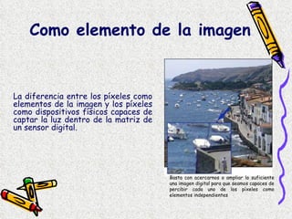 La diferencia entre los píxeles como elementos de la imagen y los píxeles como dispositivos físicos capaces de captar la luz dentro de la matriz de un sensor digital.  Como elemento de la imagen  Basta con acercarnos o ampliar lo suficiente una imagen digital para que seamos capaces de percibir cada uno de los píxeles como elementos independientes 