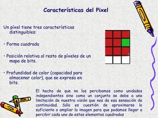 Un píxel tiene tres características distinguibles:  •  Forma cuadrada  •  Posición relativa al resto de píxeles de un mapa de bits.  •  Profundidad de color (capacidad para almacenar color), que se expresa en bits.  Características del Pixel El hecho de que no los percibamos como unidades independientes sino como un conjunto se debe a una limitación de nuestra visión que nos da esa sensación de continuidad. Sólo es cuestión de aproximarse lo suficiente o ampliar la imagen para que podamos llegar a percibir cada uno de estos elementos cuadrados  
