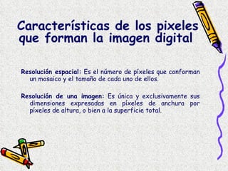 Resolución espacial:  Es el número de píxeles que conforman un mosaico y el tamaño de cada uno de ellos.  Resolución de una imagen:  Es única y exclusivamente sus dimensiones expresadas en píxeles de anchura por píxeles de altura, o bien a la superficie total.  Características de los pixeles que forman la imagen digital   