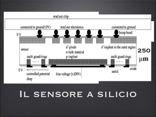 Il sensore a silicio 250 μ m 