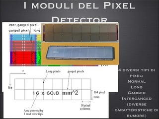I moduli del Pixel Detector 4 diversi tipi di pixel: Normal Long Ganged Interganged (diverse caratteristiche di rumore) 16 x 60.8   mm ^2   