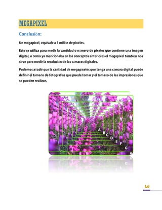 3
MEGAPIXEL
ó
ó
ú
é
ó á
ñ í á
ñ í ñ
 