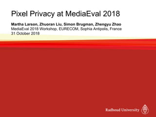 Pixel Privacy at MediaEval 2018
Martha Larson, Zhuoran Liu, Simon Brugman, Zhengyu Zhao
MediaEval 2018 Workshop, EURECOM, Sophia Antipolis, France
31 October 2018
 