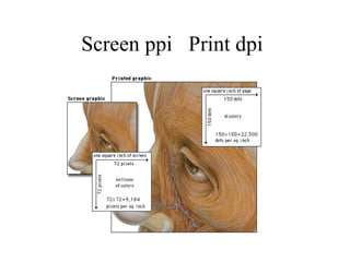 Screen ppi  Print dpi 