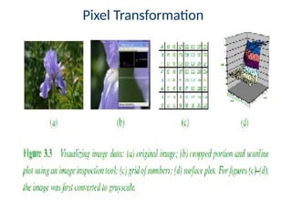 Pixel Transforms in computer vision and its applications | PPTX