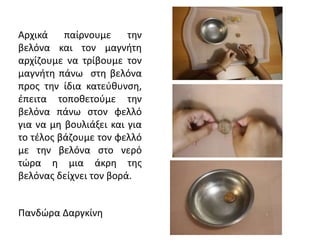 Αρχικά παίρνουμε την
βελόνα και τον μαγνήτη
αρχίζουμε να τρίβουμε τον
μαγνήτη πάνω στη βελόνα
προς την ίδια κατεύθυνση,
έπειτα τοποθετούμε την
βελόνα πάνω στον φελλό
για να μη βουλιάξει και για
το τέλος βάζουμε τον φελλό
με την βελόνα στο νερό
τώρα η μια άκρη της
βελόνας δείχνει τον βορά.
Πανδώρα Δαργκίνη
 