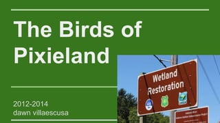 The Birds of 
Pixieland 
2012-2014 
dawn villaescusa 
 