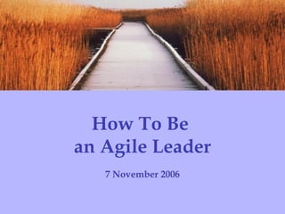 How To Be  an Agile Leader 7 November 2006 Institute for Collaborative Leadership   Evolutionary Systems Consulting 