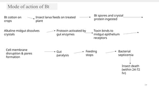 piyush BOO RATIONAL Approach IPM-1.pptx