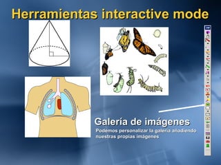Herramientas interactive mode Galería de imágenes Podemos personalizar la galería añadiendo  nuestras propias imágenes 