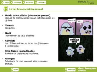INICI ESQUEMA RECURSOS INTERNET
La cèl·lula
SURT ANTERIOR
- Matriu extracel·lular (no sempre present):
Conjunt de proteïnes i fibres que es troben entre les
cèl·lules
- Vacúols:
Són petits.
- Nucli
Normalment se situa al centre
- Centríols
Les cèl·lules animals en tenen dos (diplosoma
o centrosoma)
- Cilis, flagels i pseudòpodes
Poden estar presents pel moviment
- Glicogen
Substància de reserva en cèl·lules eucariotes
animals.
La cèl·lula eucariota animal
 