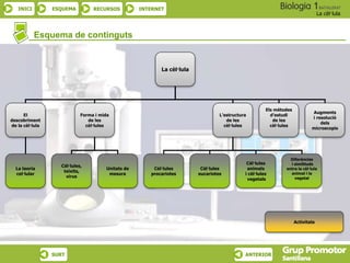 INICI ESQUEMA RECURSOS INTERNET
La cèl·lula
SURT ANTERIOR
Esquema de continguts
La cèl·lula
El
descobriment
de la cèl·lula
Forma i mida
de les
cèl·lules
L’estructura
de les
cèl·lules
Els mètodes
d’estudi
de les
cèl·lules
Augments
i resolució
dels
microscopis
La teoria
cel·lular
Cél·lules,
teixits,
virus
Unitats de
mesura
Cèl·lules
procariotes
Cèl·lules
eucariotes
Cèl·lules
animals
i cèl·lules
vegetals
Diferències
i similituds
entre la cèl·lula
animal i la
vegetal
Activitats
 