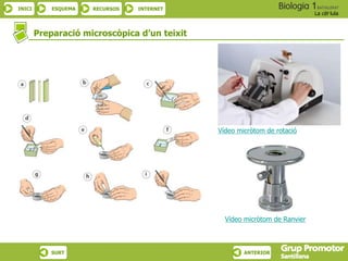 INICI ESQUEMA RECURSOS INTERNET
La cèl·lula
SURT ANTERIOR
Preparació microscòpica d’un teixit
Vídeo micròtom de Ranvier
Vídeo micròtom de rotació
 