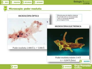 INICI ESQUEMA RECURSOS INTERNET
La cèl·lula
SURT ANTERIOR
Microscopis: poder resolutiu
Diferents graus de detall en observar
les cèl·lules amb un microscopi òptic
i amb un microscopi electrònic
(és la longitud d’ona).
SEGÜENT
 