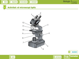 INICI ESQUEMA RECURSOS INTERNET
La cèl·lula
SURT ANTERIOR
Activitat: el microscopi òptic
SEGÜENT
 