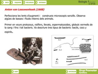 INICI ESQUEMA RECURSOS INTERNET
La cèl·lula
SURT ANTERIOR
Anton van Leeuwenhoek (1668)
Perfecciona les lents d’augment i construeix microscopis senzills. Observa
aigües de basses i fluids interns dels animals.
Primer en veure protozous, rotífers, llevats, espermatozoides, globuls vermells de
la sang i fins i tot bacteris. Va descriure tres tipus de bacteris: bacils, cocs y
espirils.
 