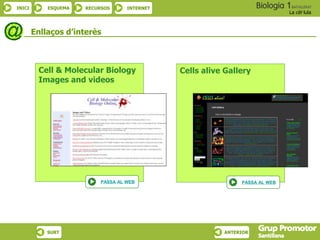 INICI ESQUEMA RECURSOS INTERNET
La cèl·lula
SURT ANTERIOR
Enllaços d’interès
Cell & Molecular Biology
Images and videos
PASSA AL WEB
Cells alive Gallery
PASSA AL WEB
 