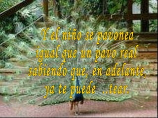 Y el niño se pavonea igual que un pavo real sabiendo que, en adelante, ya te puede  ..tear. 