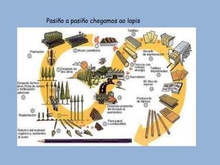 Pasiño a pasiño chegamos ao lapis
 
