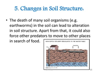 5. Changes in Soil Structure:
• The death of many soil organisms (e.g.
earthworms) in the soil can lead to alteration
in soil structure. Apart from that, it could also
force other predators to move to other places
in search of food.
Yarn Group 15
 